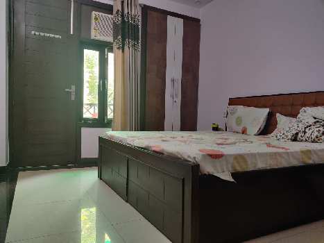 3 BHK Flats & Apartments for Sale in Sector 19B, Dwarka, Delhi (1600 Sq.ft.)