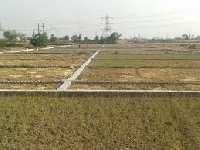 6 Acre Agricultural/Farm Land for Sale in Delhi