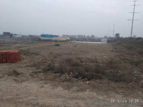 2 Ares Agricultural/Farm Land for Sale in Dhansa, Delhi