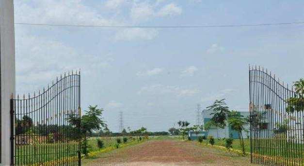 3.75 Ares Agricultural/Farm Land for Sale in Pandwala Kalan, Delhi