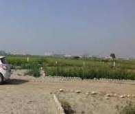 4 Acre Agricultural/Farm Land for Sale in Najafgarh, Delhi