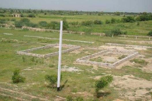 3.5 Acre Agricultural/Farm Land for Sale in Dichaon Kalan, Najafgarh, Delhi