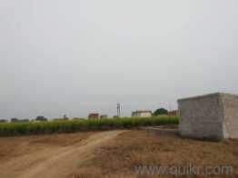 1 Acre Agricultural/Farm Land for Sale in Khera Dabar, Najafgarh, Delhi