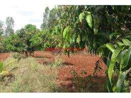 Property for sale in Miranpur, Muzaffarnagar