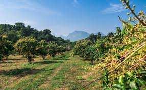 Property for sale in Khatauli Rural, Muzaffarnagar