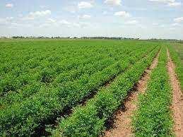 Property for sale in Khatauli Rural, Muzaffarnagar