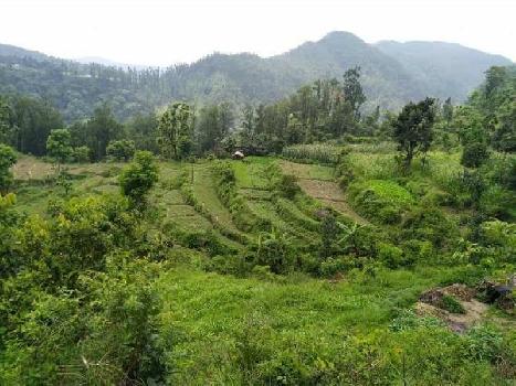 6 Bigha Agricultural/Farm Land For Sale In Ring Road, Dehradun