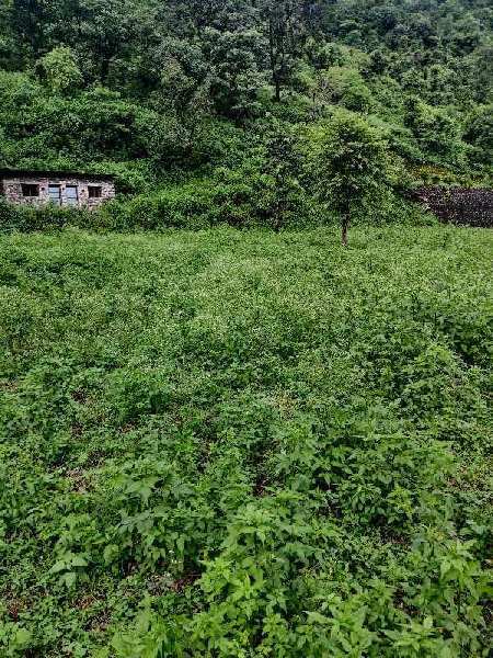 26 Bigha Agricultural/Farm Land for Sale in Thano, Dehradun