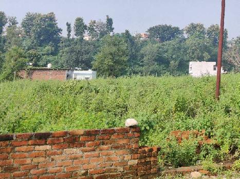 3.5 Bigha Residential Plot for Sale in Raipur, Dehradun
