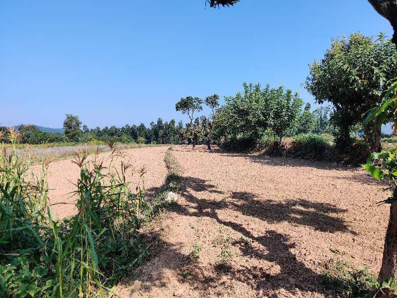 5.50 Bigha Agricultural/Farm Land for Sale in Sahaspur, Dehradun