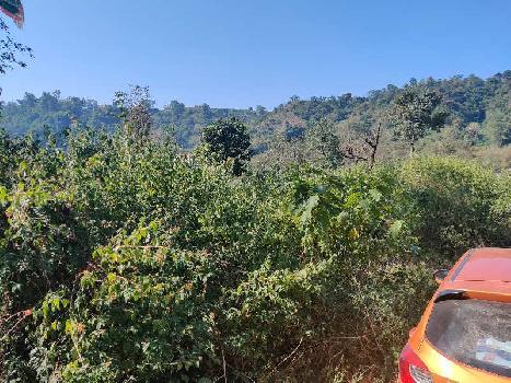 36 Bigha Agricultural/Farm Land for Sale in Sahaspur, Dehradun