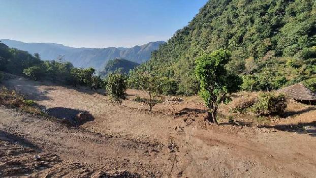 14 Bigha Agricultural/Farm Land for Sale in Rani Pokhari, Dehradun