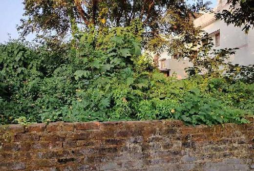 270 Sq. Yards Residential Plot for Sale in Sahastradhara Road, Dehradun