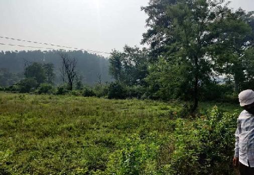 535 Sq. Yards Residential Plot for Sale in Kishanpur, Dehradun