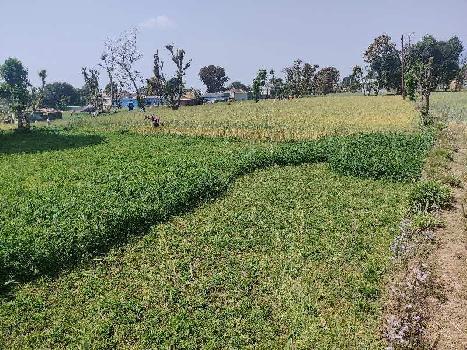 6 Bigha Agricultural/Farm Land for Sale in Thano, Dehradun