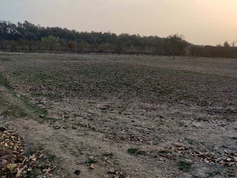 50 Bigha Agricultural/Farm Land for Sale in Vikas Nagar, Dehradun