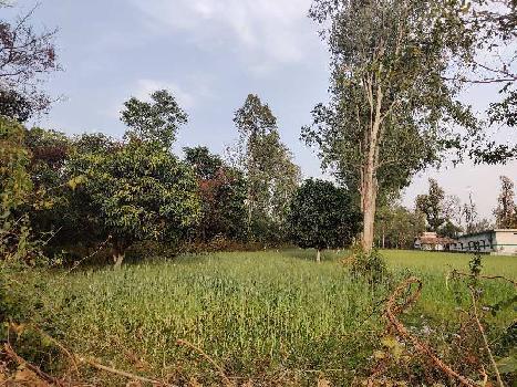 12 Bigha Agricultural/Farm Land for Sale in Vikas Nagar, Dehradun