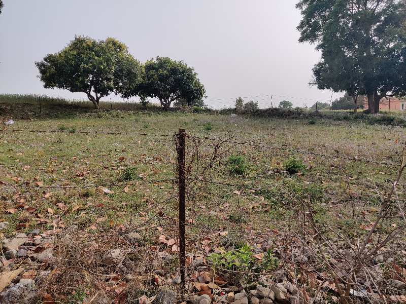 10 Bigha Agricultural/Farm Land for Sale in Chakrata Road, Dehradun