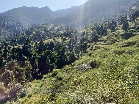 350 Bigha Agricultural/Farm Land for Sale in Sahastradhara Road, Dehradun