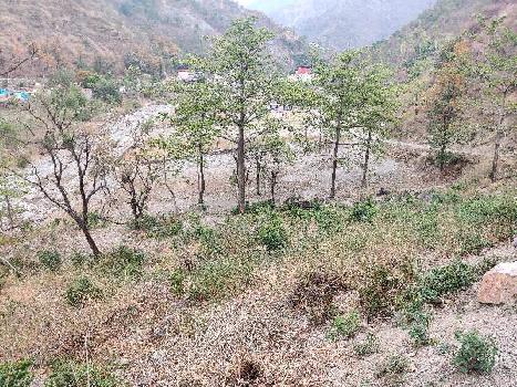 5 Bigha Agricultural/Farm Land for Sale in Sahastradhara Road, Dehradun