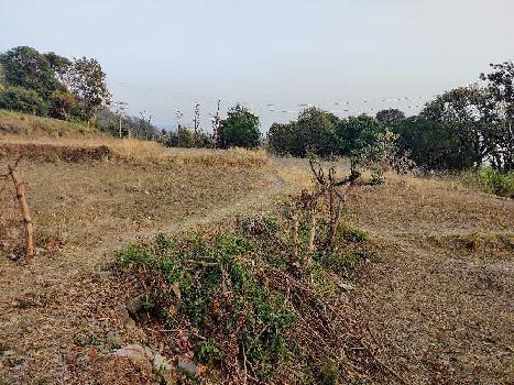 12 Bigha Agricultural/Farm Land for Sale in Rajpur Road, Dehradun