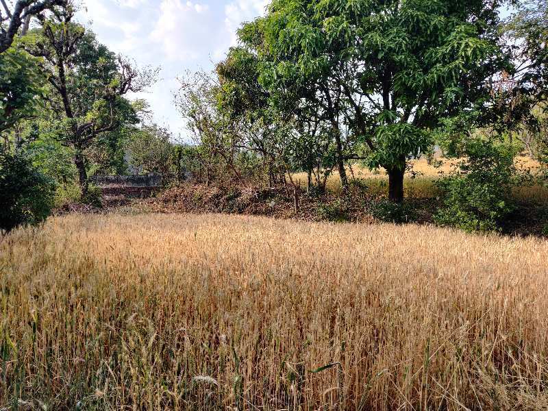 1.5 Bigha Agricultural/Farm Land for Sale in Rajpur Road, Dehradun