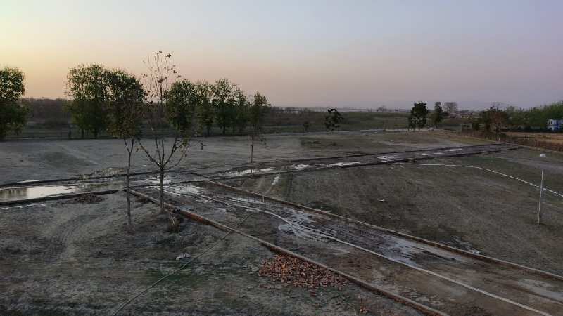 7 Bigha Agricultural/Farm Land for Sale in Jwalapur, Haridwar