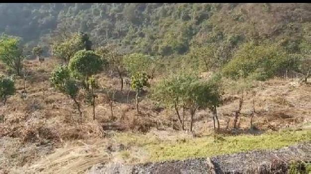 42 Bigha Agricultural/Farm Land for Sale in Mussoorie, Dehradun