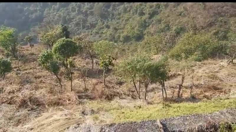 42 Bigha Agricultural/Farm Land for Sale in Mussoorie, Dehradun