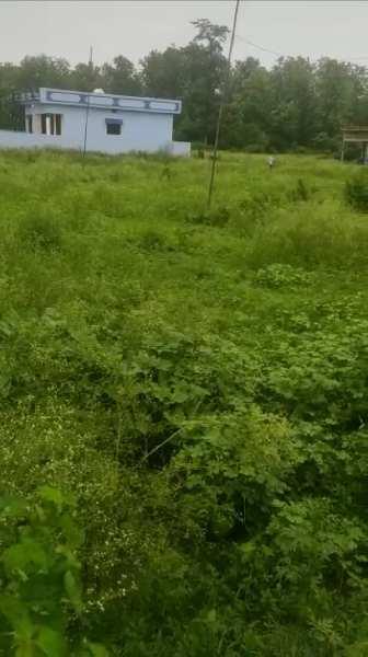 3 Bigha Agricultural/Farm Land for Sale in Mussoorie, Dehradun