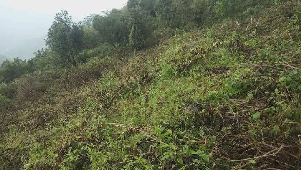 7 Bigha Agricultural/Farm Land for Sale in Sahastradhara Road, Dehradun