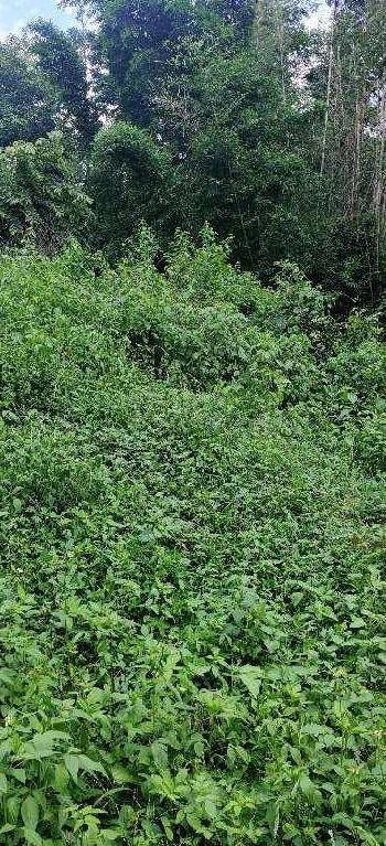 2 Bigha Agricultural/Farm Land for Sale in Thano, Dehradun