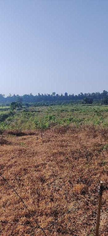 50 Bigha Agricultural/Farm Land for Sale in Vikas Nagar, Dehradun