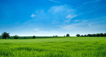 Commercial Lands /Inst. Land for Rent in Kharadi, Pune (30000 Sq.ft.)