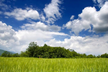 Industrial Land / Plot for Rent in Kharadi, Pune (100000 Sq.ft.)