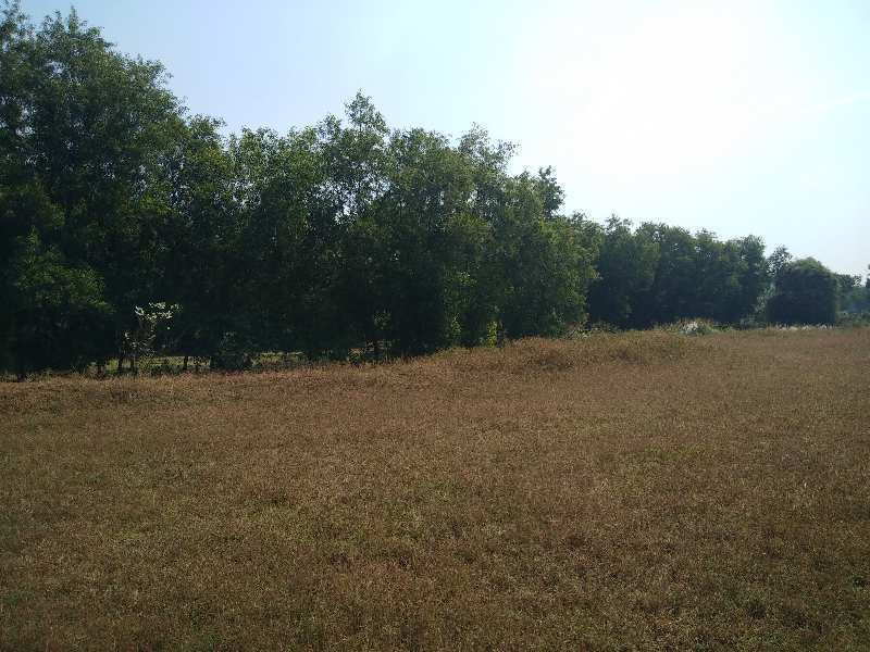 12 Acre Agricultural/Farm Land for Sale in Sarigam, Vapi