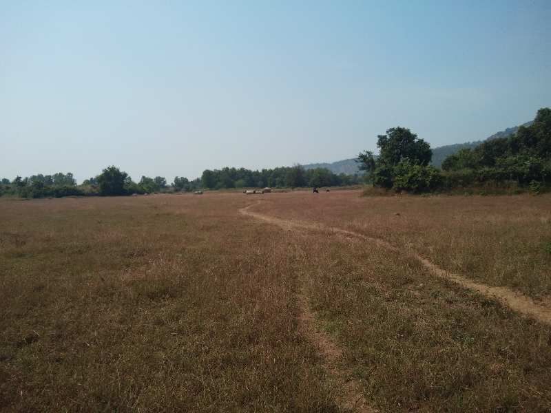 12 Acre Agricultural/Farm Land for Sale in Sarigam, Vapi