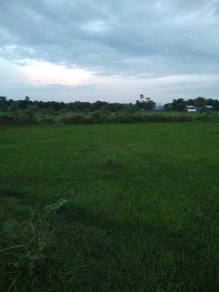 56 Guntha Agricultural/Farm Land for Sale in Khattalwada, Valsad