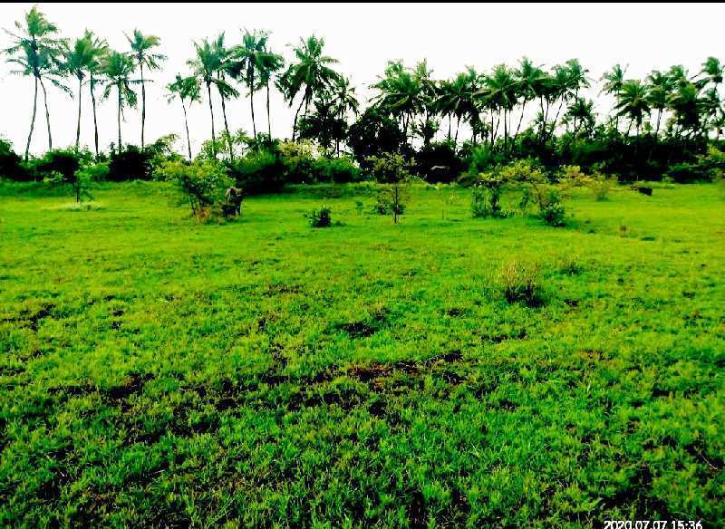 10 Acre Industrial Land / Plot for Sale in Sarigam, Vapi
