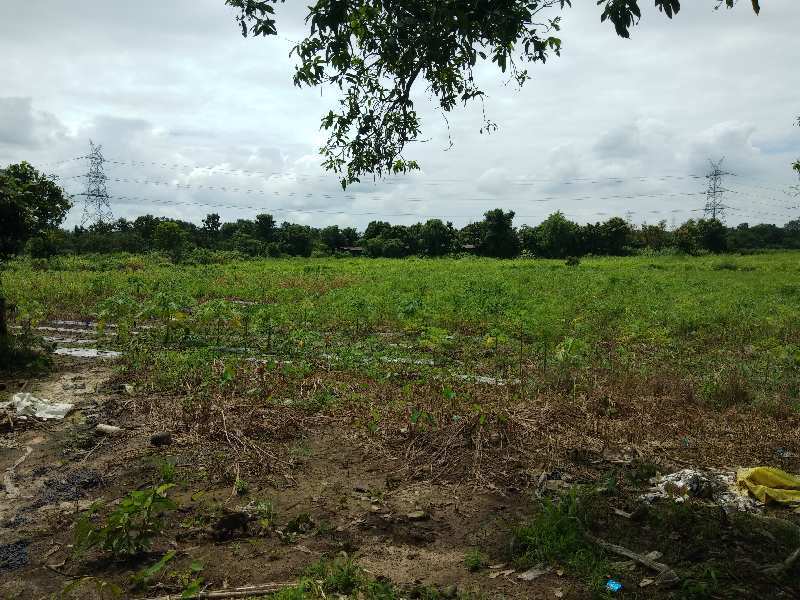 100 Acre Agricultural/Farm Land for Sale in Pardi, Valsad