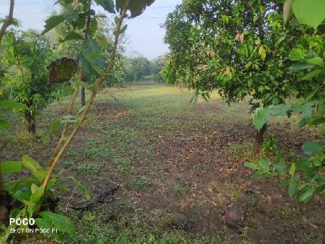 10 ACRE LAND ON SALE AT DHARAMPUR ROAD VANKAL MAIN ROAD TOUCH