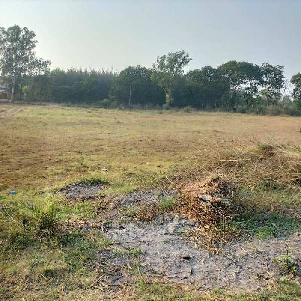 2.5 ACER COMMERCIAL LAND ON SALE AT KARWAD MAIN ROAD TOUCH VAPI