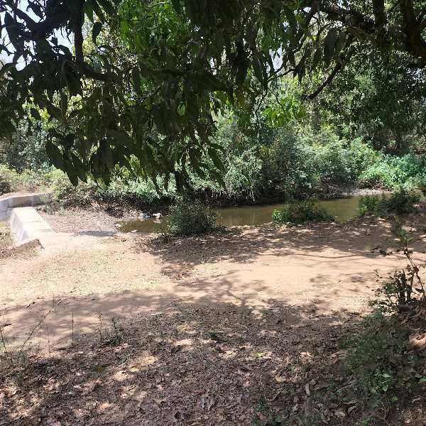 3 ACRE AGRICULTURE FIRM HOUSE ON SALE AT CHIKHLI