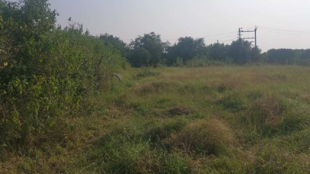22 Guntha Agricultural/Farm Land for Sale in Pardi, Valsad