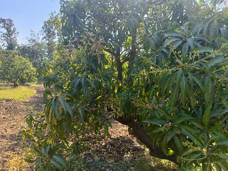 Property for sale in Dharampur, Valsad