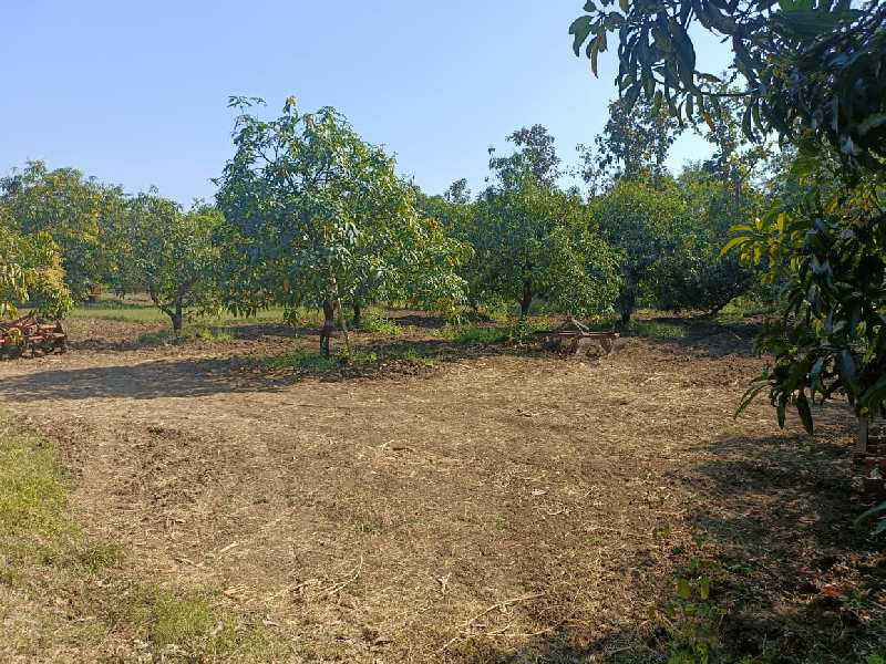 4 Acre Agricultural/Farm Land for Sale in Dharampur, Valsad