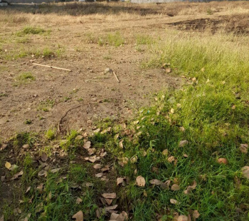 Agricultural/Farm Land for Sale in Pardi, Valsad (5 Acre)
