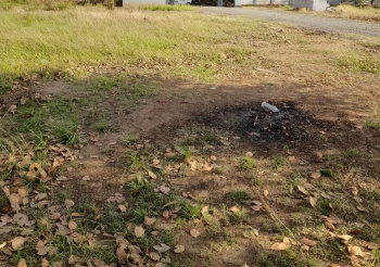 Property for sale in Pardi, Valsad