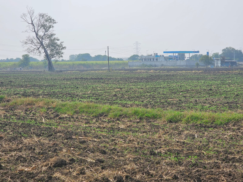 Agricultural/Farm Land for Sale in Pardi, Valsad (5 Acre)