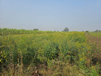 Agricultural/Farm Land for Sale in Karwad, Vapi (22 Acre)